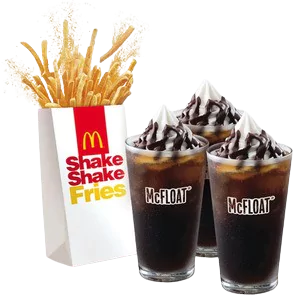 BFF Shake Shake Fries BBQ N' McFloat Combo
