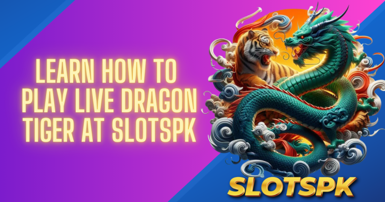 Learn How to Play Live Dragon Tiger at SlotsPK