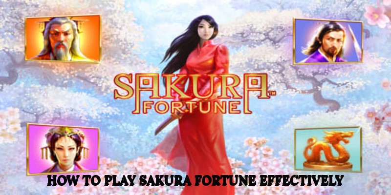 Sakura Fortune Delivers Adventure Through Cherry Blossoms 3 21